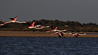 a small group after lift-off